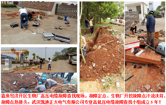 麻豆黄色视频下载檢測