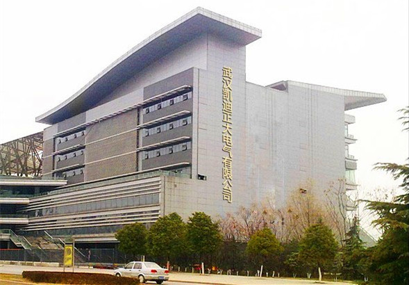 武漢国产精品麻豆VA在线播放正大公司圖片.jpg