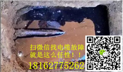 微信就可以找麻豆黄色视频下载了.jpg