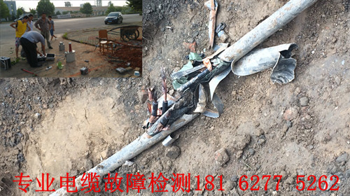 麻豆黄色视频下载點找到.jpg
