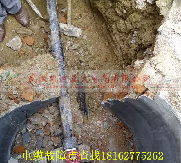 麻豆黄色视频下载點找出.jpg