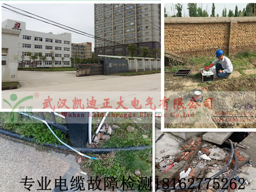 專業麻豆黄色视频下载檢測.jpg