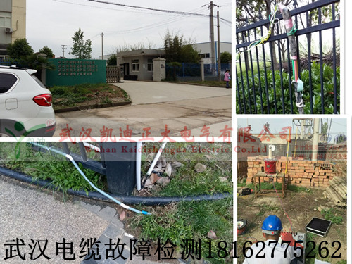 武漢麻豆黄色视频下载檢測.jpg