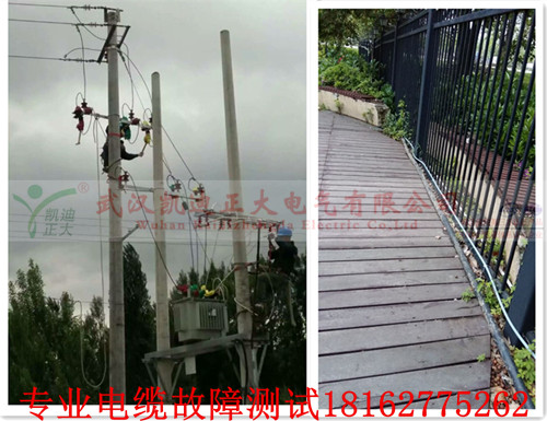 麻豆黄色视频下载檢測查找.jpg