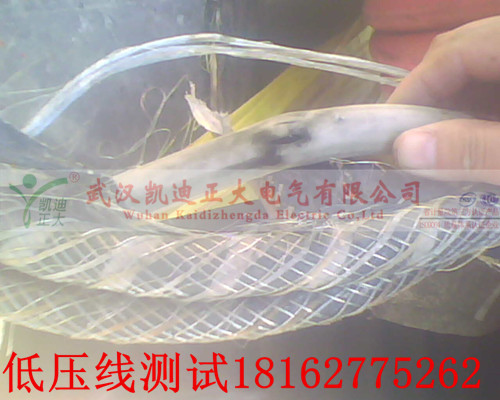 麻豆黄色视频下载點修補.jpg