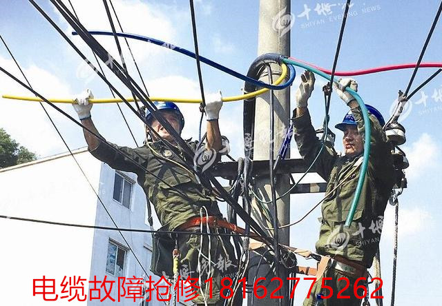 麻豆黄色视频下载測試.jpg