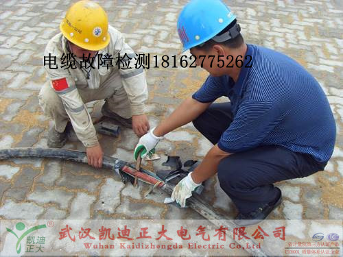 麻豆黄色视频下载檢測.jpg