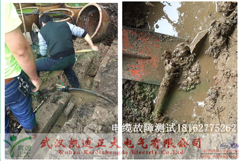 植物園麻豆黄色视频下载測試.jpg